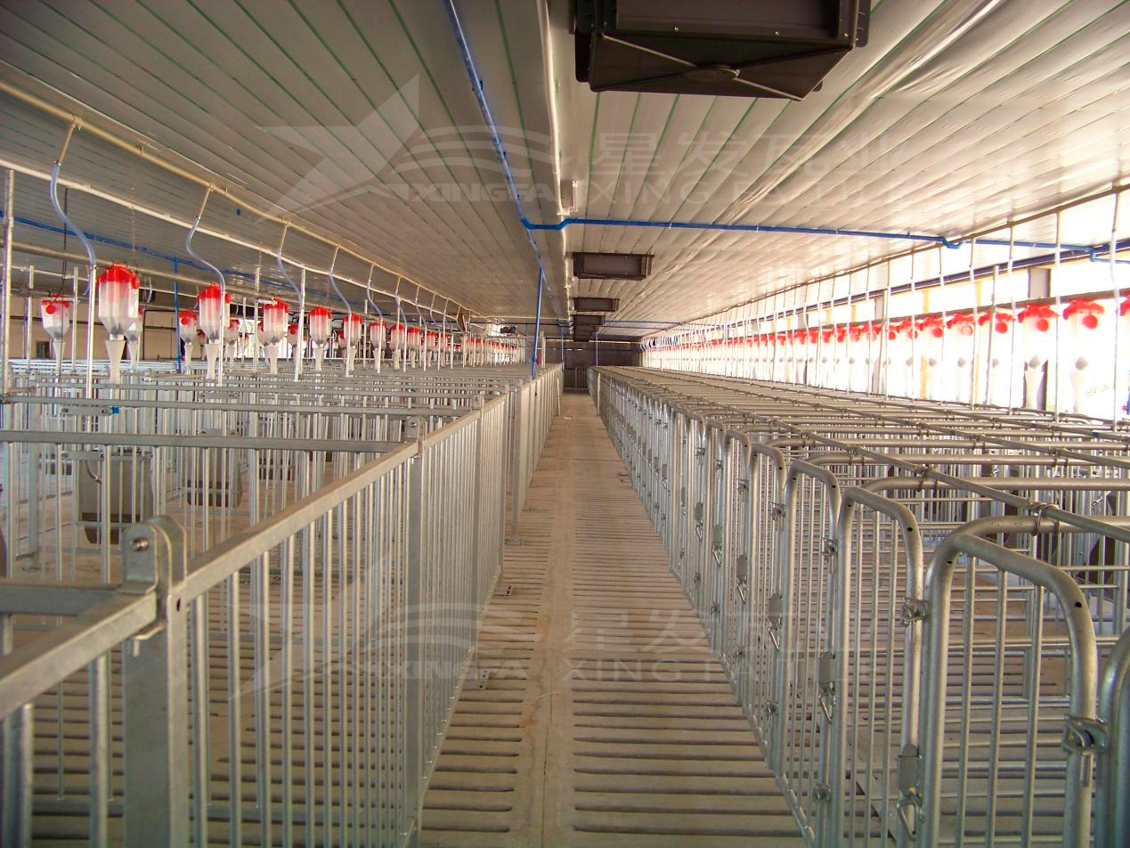 高溫來襲，養(yǎng)殖場安裝樹脂瓦，為小動物營造避暑勝地