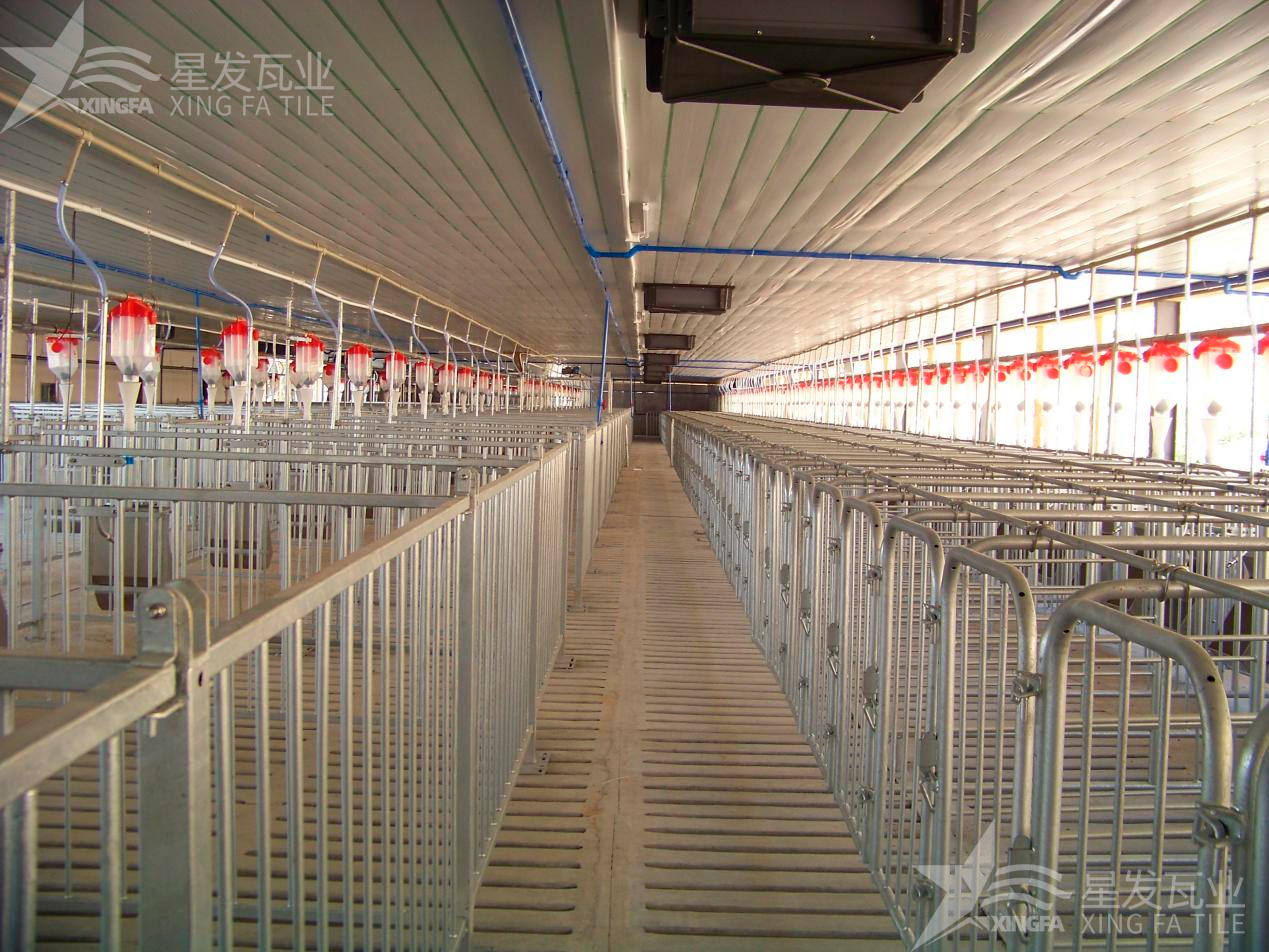 炎炎夏日即將來臨，為什么養(yǎng)殖場越來越多地選擇PVC瓦？