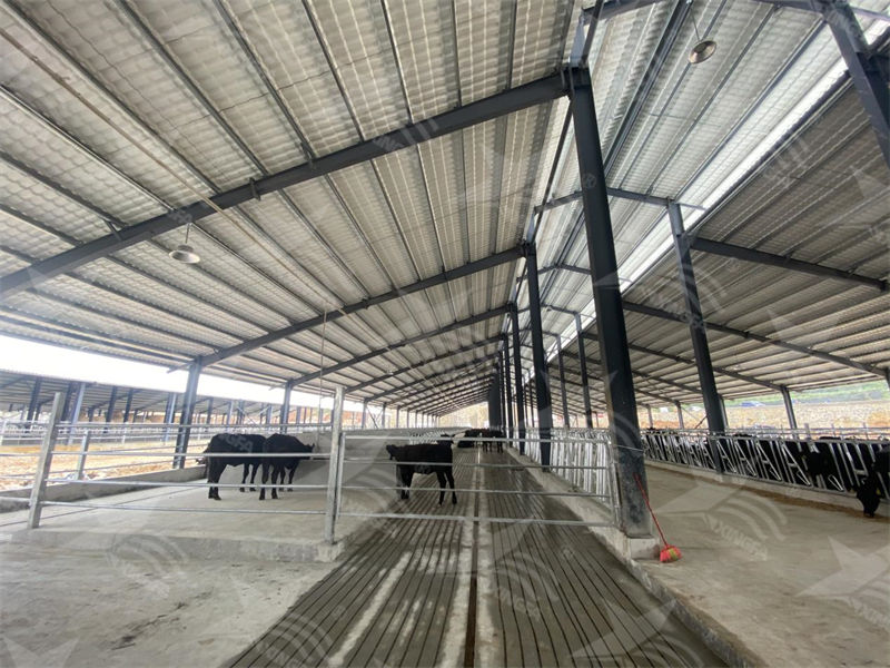 樹脂瓦：養(yǎng)殖場的夏日守護(hù)者，為小動物打造涼爽樂園